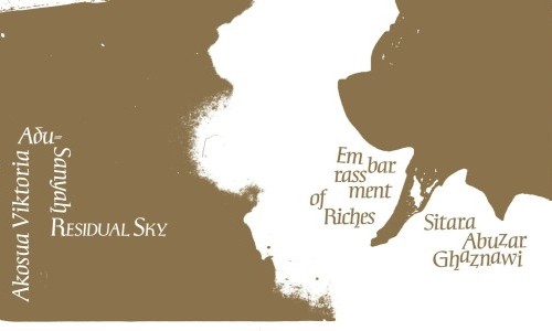 Sitara Abuzar Ghaznawi &ndash; Embarrassment of Riches