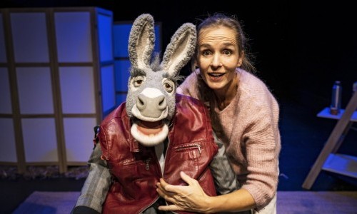 Rahel Wohlgensinger - Herr Fässler und die Stürme der Liebe