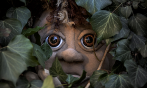 BMT - Muggli dr Waldtroll