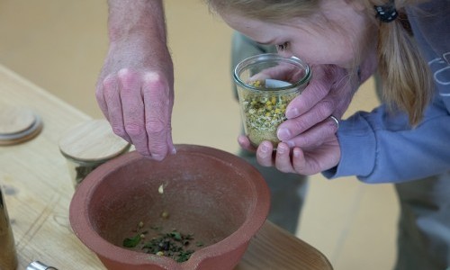 R&ouml;mische Salben und Zahnpulver herstellen