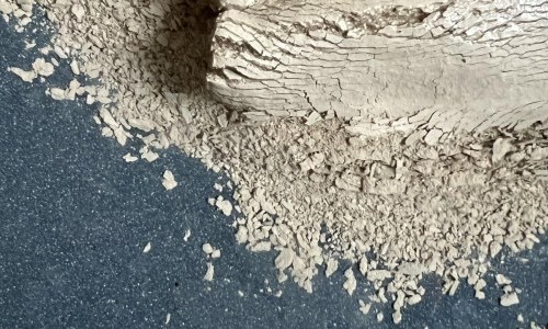 rest:los   (carte blanche)