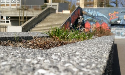 Centre d&rsquo;animation socioculturelle (CAS) du Jura