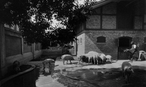 *OPEN HOUSE BERN - RUNDGANG DURCH DIE EHEMALIGE RYFF FABRIK