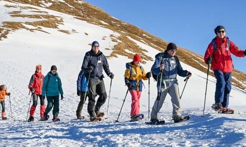 Spuren im Schnee: r&uuml;cksichtsvoll Natur erleben