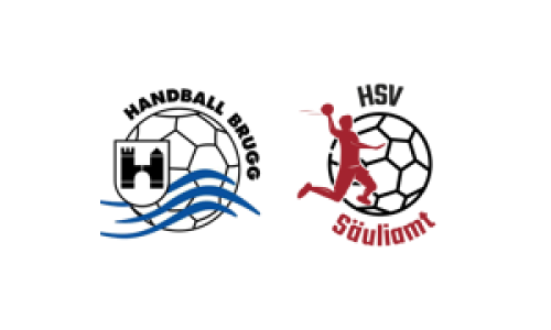 Handball Brugg - HSV S&auml;uliamt Rookies