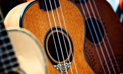 Ukulele-Worshop 2026