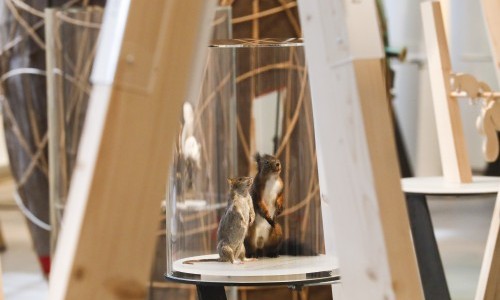 Eichhörnchen - Familiensonntag