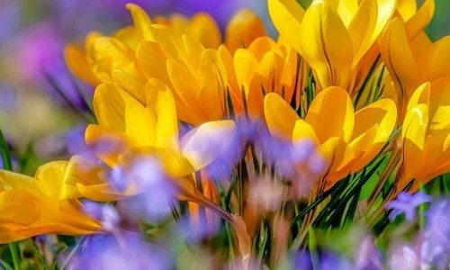 Rituale f&uuml;r Frauen* - Erntedank