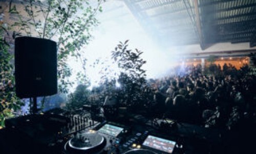 Palp festival : Jardin Secret