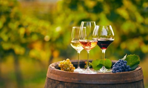 Weinabend im r&ouml;mischen Garten