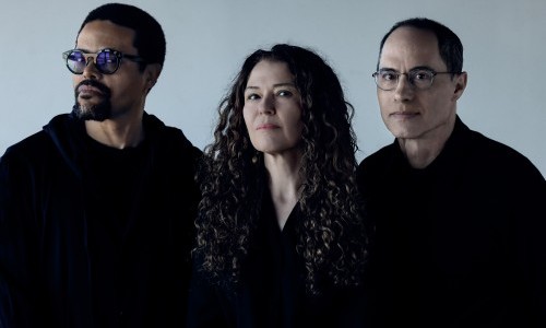 Sylvie Courvouisier, Ned Rothenberg, Nasheet Waits