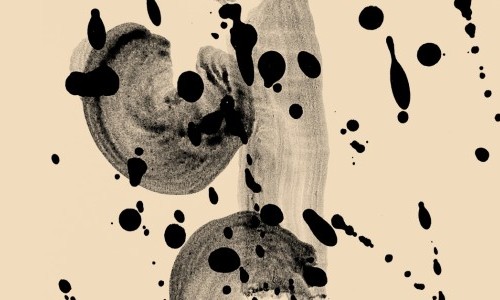 De Profundis - Camerata Variabile