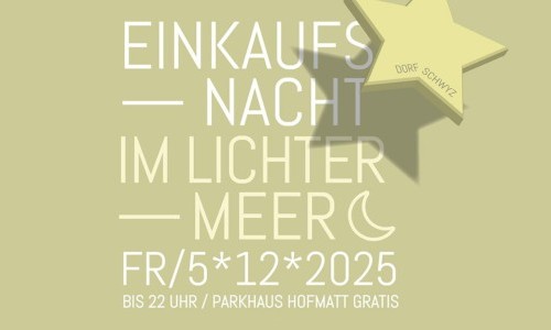 Einkaufsnacht im Lichtermeer