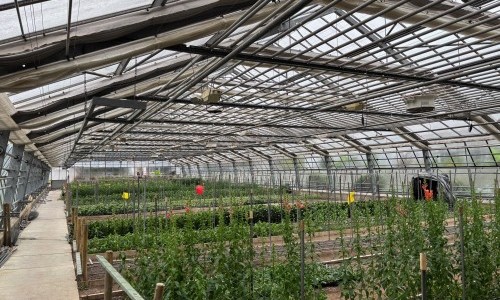 Technik trifft Natur