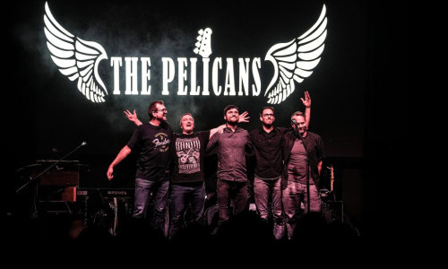 The Pelicans &ndash; Roots Rock mit Seele