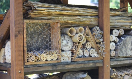 Nistgelegenheiten-Workshop