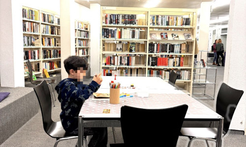 Bibliothek B&uuml;echerbrugg