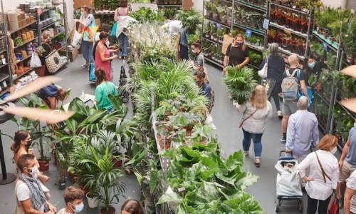 Pflanzen f&uuml;r Alle