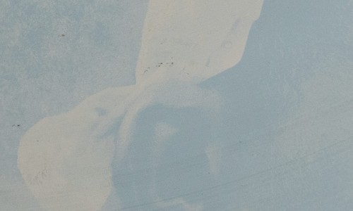 Eva Diallo: Bolol, 2025