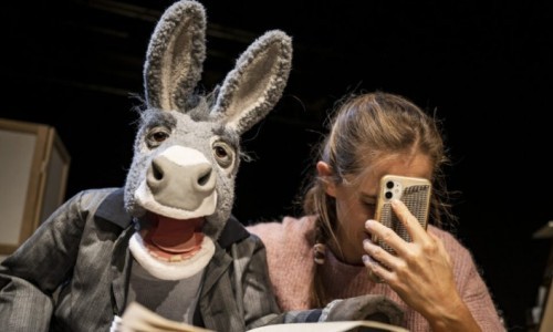 Rahel Wohlgensinger - Herr Fässler und die Stürme der Liebe