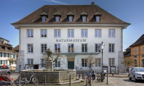 Naturmuseum