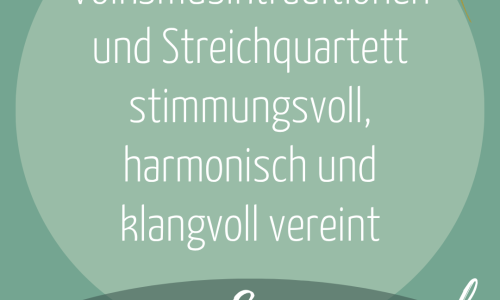 Imaginary roots beim Elfenau Kultursommer 2026