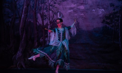 La Chercheuse d'esprit