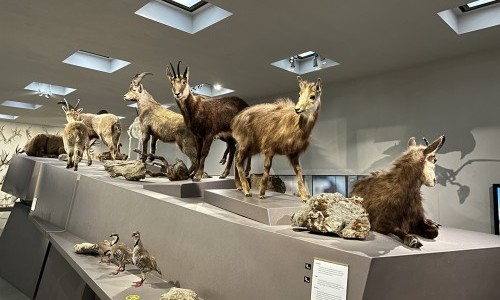 Liechtensteinisches LandesMuseum