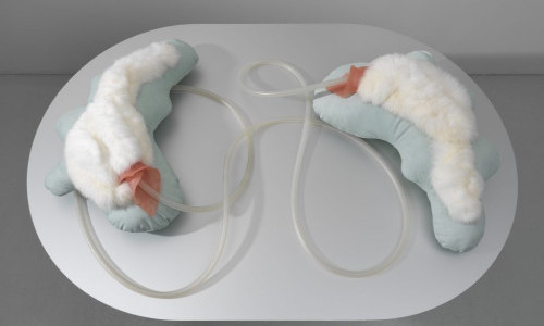 Renata Borer &ndash; Werke 2015-2026