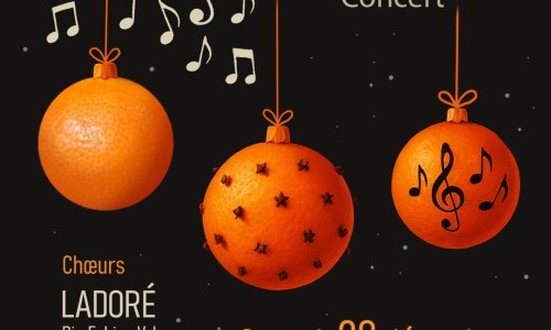 Oranges de Noël concert