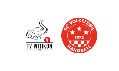 TV Witikon - SG Oberland Falcons 1