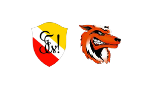 GTV Basel - TSV Frick 2