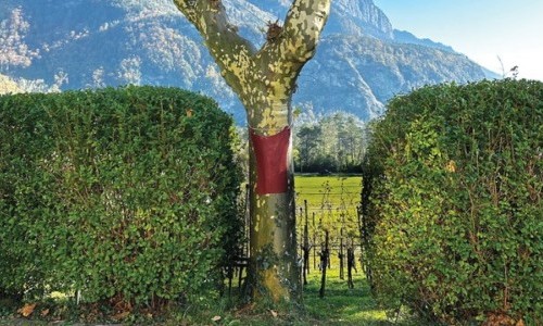 Hanni Schierscher – innen und aussen II