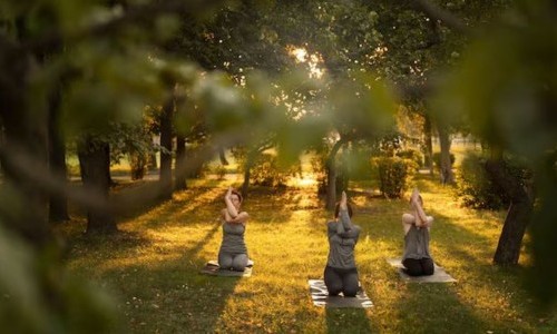 Les matinales au Potager - Yoga