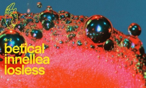 Belonging by Innellea