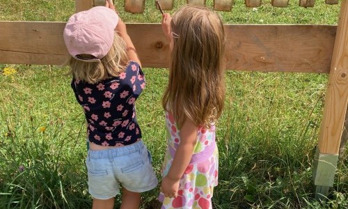 Erlebnisweg: Lea und Ben bei den Mutterkühen