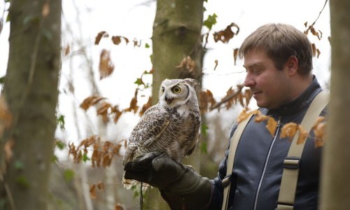 Faszination Greifvogel & Eulen Erlebnis