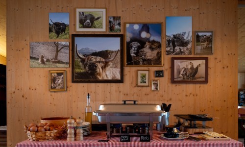 Kulturhof Hinter Musegg