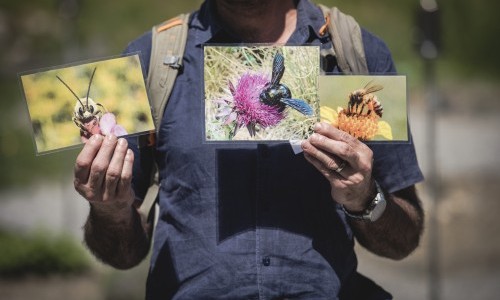 Tag der Artenvielfalt