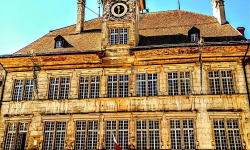 Dear2050: Entangled Forests - Forum de l'H&ocirc;tel de Ville, Lausanne