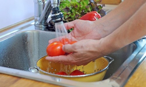 Internationaler Museumstag: Umweltschutz braucht alle