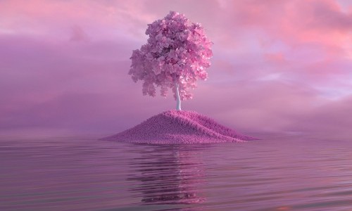 Frauen mit Verstand und M&auml;nner mit &Uuml;berraschungen - Geschichten f&uuml;r Erwachsene