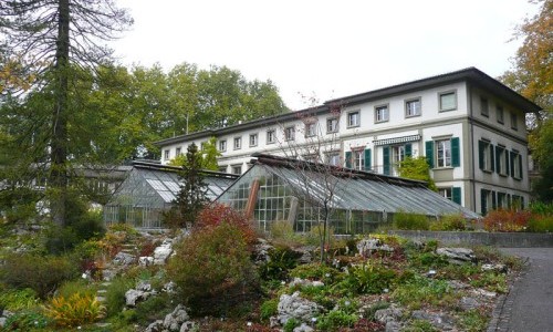 BOGA Botanischer Garten der Universität Bern