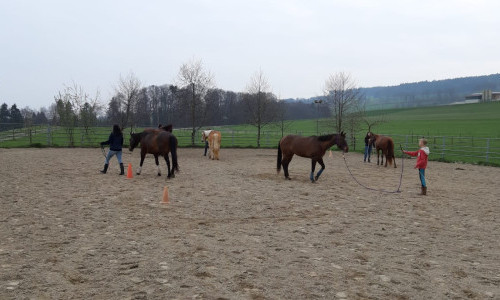 White Horse Ranch