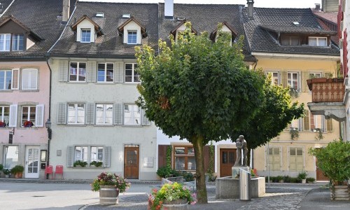 St&auml;dtlif&uuml;hrung Salz - Das weisse Gold