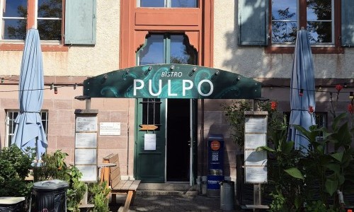Pulpo