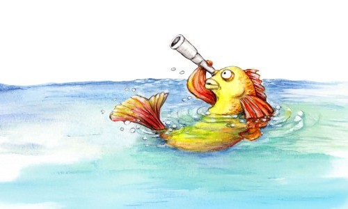 NVB Theater I Fisch sucht Fahrrad