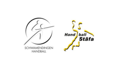Schwamendingen Handball - SG St&auml;fa / Meilen