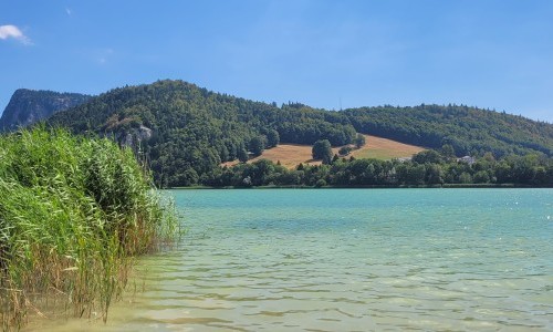 Le Sentier La Raisse Armand