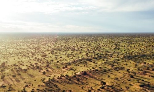 Arte: Leben mit L&ouml;wen